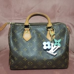 Louis Vuitton Speedy 25